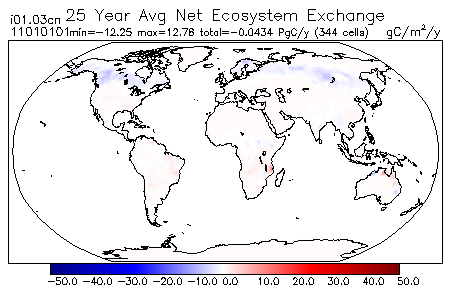 25 Year Average Net Ecosystem Exchange for 11010101